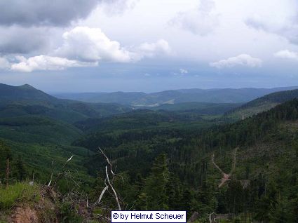 Blick in den Vogesen