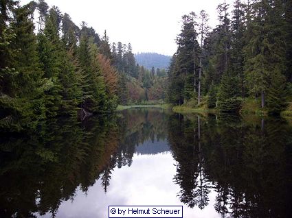 Waldsee, Vogesen
