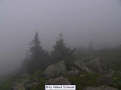 Vogesenhochplateau im Nebel