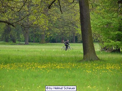 Parklandschaft, Potsdam